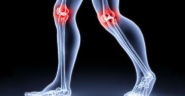 Анатомія колінного суглоба