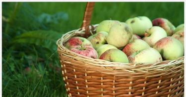 Õunamagustoidud – kolm maitsvat ja lihtsat retsepti