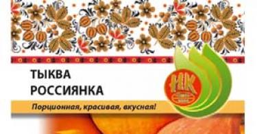 Pumpkin varieties for cold regions of Russia