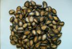 У чому користь кавунового насіння