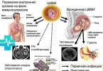 O testech na cytomegalovirus a jejich interpretaci Cytomegalovirus: jak se nechat testovat pro muže