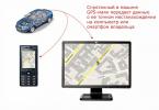 Manufacturers of GPS beacons for cars: solutions and prices