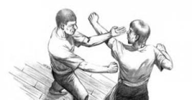 Esercizi di base della tecnica Wing Chun