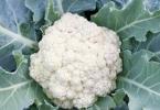 What is useful cauliflower Cauliflower kcal