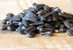 Is it possible to eat seeds for pregnant and lactating women: how they are harmful and how useful