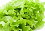 Листя салату: користь та шкода, склад та властивості