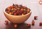 How to brew dried rose hips in a thermos to preserve vitamins?