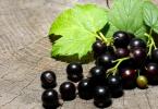 How to cook compote from frozen currants?