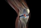 Anatomy of the knee joint and ligaments: structure in the photo