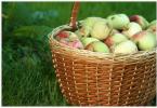 Десерти з яблук — три смачні та прості рецепти