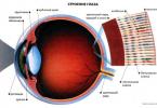 Eye test for color blindness