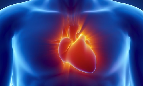 megnagyobbodott szív hipertóniával
